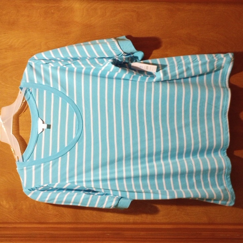 Time and Tru Turquoise Striped Scoopeneck Puff Sleeve Top